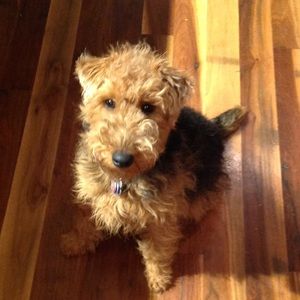 Meet your Posher, Neil